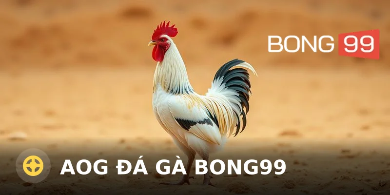 AOG đá gà Bong99: Hướng dẫn chơi và mẹo hay