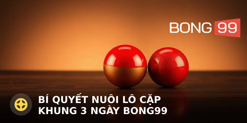 Bí quyết nuôi lô cặp khung 3 ngày Bong99 hiệu quả