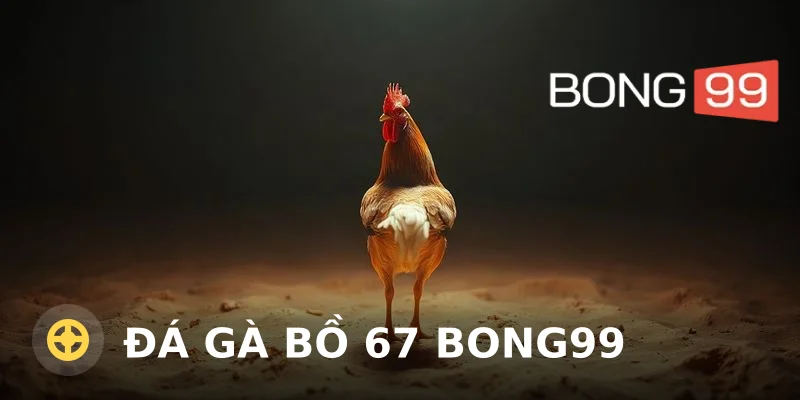 Đá gà bồ 67 Bong99 – Luật chơi và mẹo cược hiệu quả